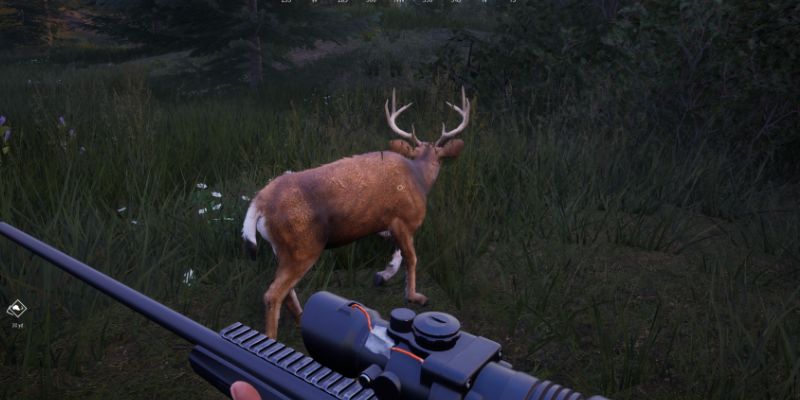 Các loài động vật với hành vi chân thực